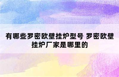 有哪些罗密欧壁挂炉型号 罗密欧壁挂炉厂家是哪里的